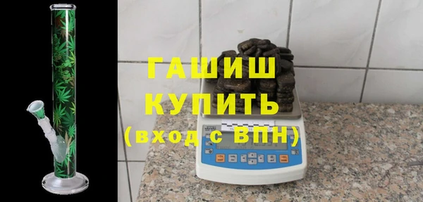 индика Пестово