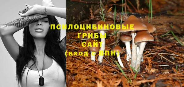скорость Верхний Тагил