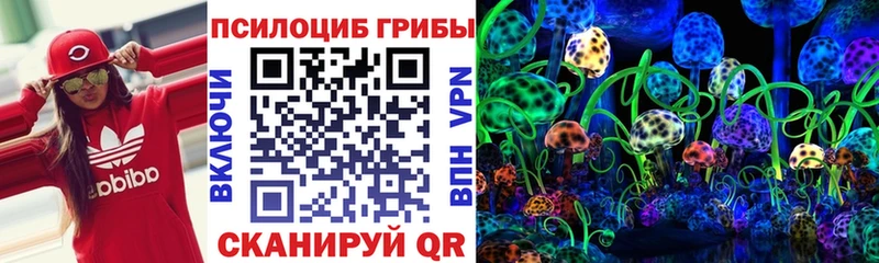 Псилоцибиновые грибы Cubensis  магазин продажи наркотиков  Химки 