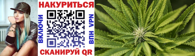 Канабис конопля  где найти наркотики  hydra маркетплейс  Химки 